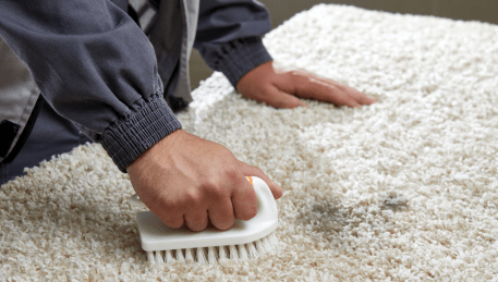 Professional Rug Cleaning Mount Dandenong